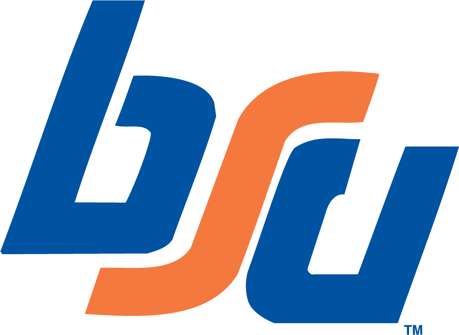Boise State Broncos 1974-1983 Primary Logo diy iron on heat transfer